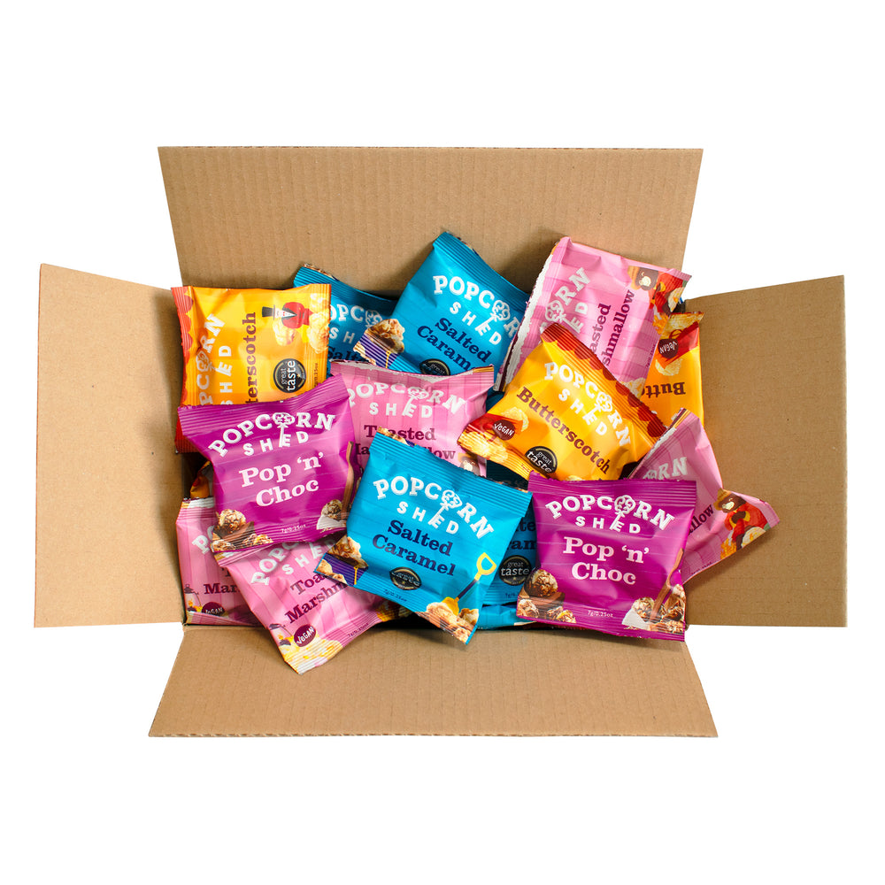 Gourmet Popcorn Mini Bag Multipack Bundle - 48 bags