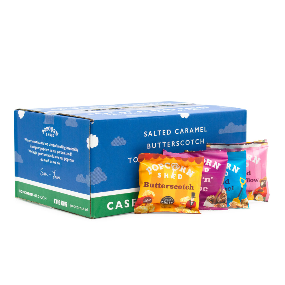 Gourmet Popcorn Mini Bag Multipack Bundle - 48 bags